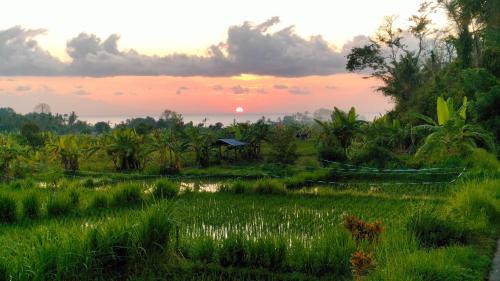 Sengkidu House | P'Moon Open Inn