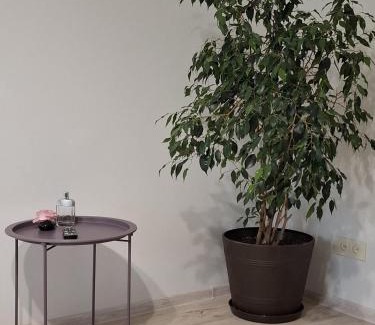 Ventspils Apartment | P Stradina Street 21