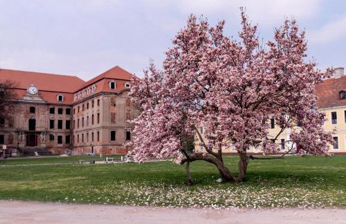 Brody House | Pałac Brody