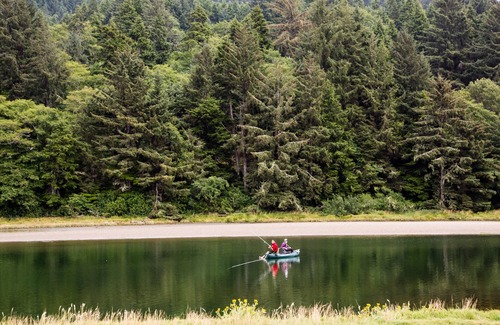 Cloverdale Cabin | Pacific City RV & Camping Resort