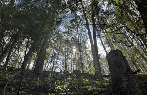 Regional District of Nanaimo House | Pacific Forest Beach House