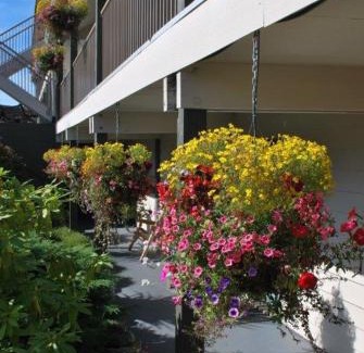 Ucluelet Hotel | Pacific Rim Motel