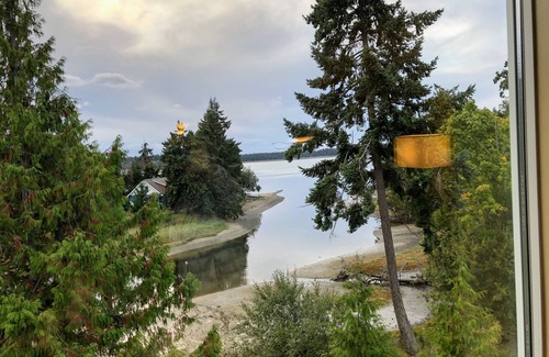 Regional District of Nanaimo Condo | Pacific Shores-Creekside Retreat-Studio Suite-Private Beach and not crowded!