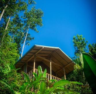 Bajo Tigre Hotel | Pacuare Outdoor Center