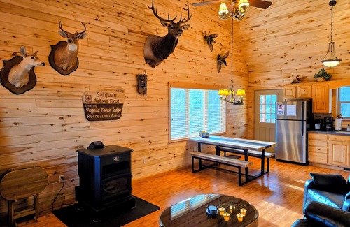 Pagosa Springs House | Pagosa's Forest Lodge