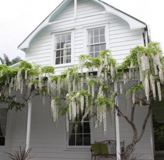 Ohaeawai Bed & Breakfast | Paheke Boutique Lodge