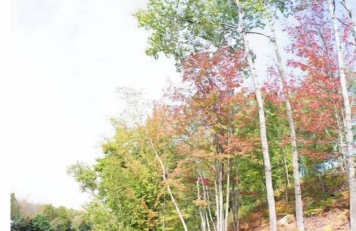 Crystal Falls House | Paint River Rentals Southnn