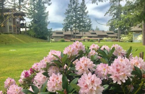 Madeira Park Resort | Painted Boat Resort Spa and Marina