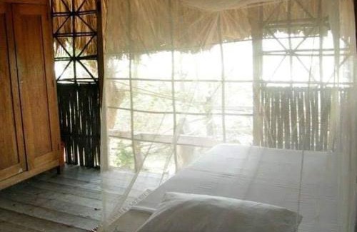 Monitos House | Pajarito Eco-Lodge frente al mar