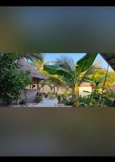 Paje Bed & Breakfast | Paje lounge