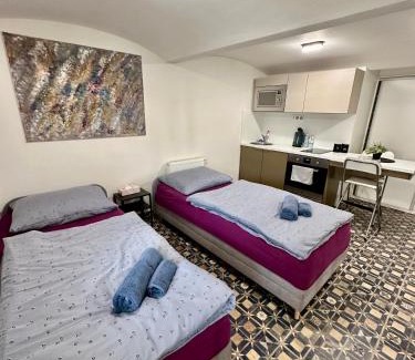 Brno-stred Apartment | Palac Anežka A1