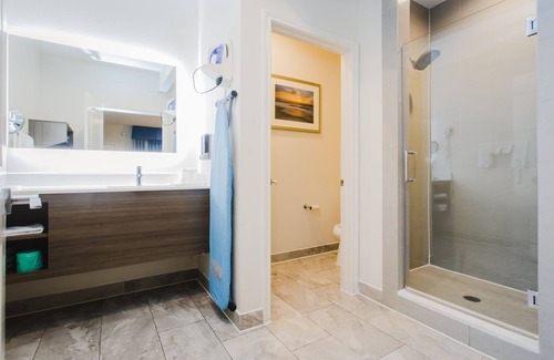 Houston Hotel | Palace Inn Blue I-45 & College Ave