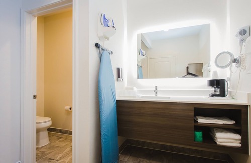Houston Hotel | Palace Inn Blue I-45 & College Ave