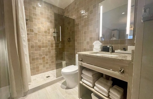 Downtown Santa Fe Hotel | Palace Modern Hotel at the Plaza - King 13