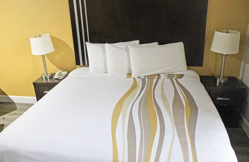 Spring Branch Hotel | Palacio Royale Inn Houston NW Beltway 8
