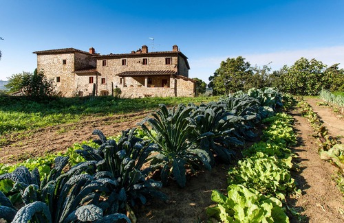 Pelago Apartment | Palaia Farm - accommodation "TORRE"