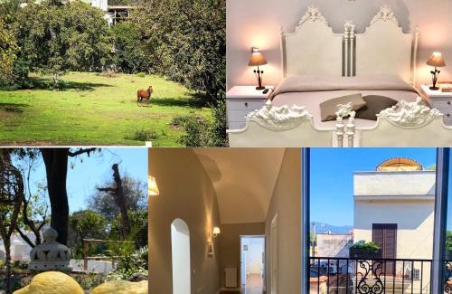 Mount Vesuvius - Pompei Bed & Breakfast | Palazzo D'Amaro Historical Residence