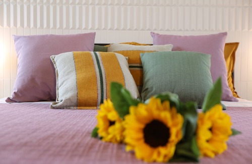 Cassano delle Murge Bed & Breakfast | Palazzo Novecento: elegant B&B with SPA and private terrace, right in the center