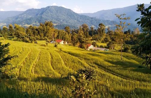 Kalimpong House | PaliGhar Farmstay