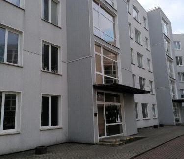 Dreilini Apartment | Palm apartment studio Riga