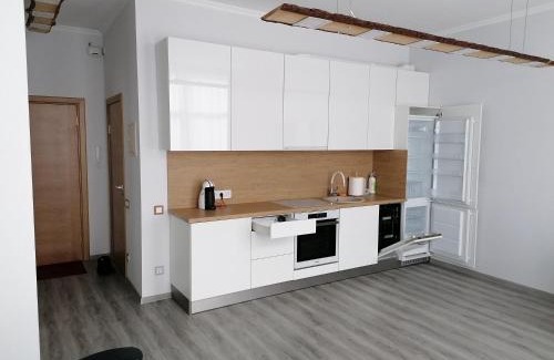 Dreilini Apartment | Palm apartment studio Riga