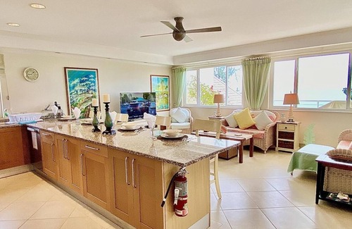 Saint Matthias Villa | Palm Beach 502 Summer Specials 2025 Pay 6 stay 7 | Beach Front - Located in Beautiful Christ Church with House Cleaning Included
