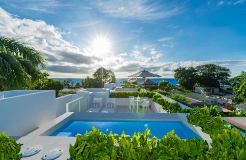 Mount Standfast Villa | Palm Grove