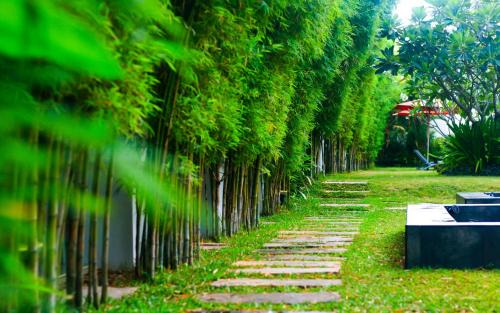 Na Chom Thian Resort | Palm Grove Resort, Pattaya