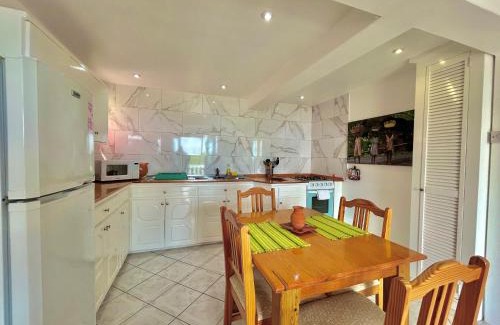 Friendship Apartment | Palm house