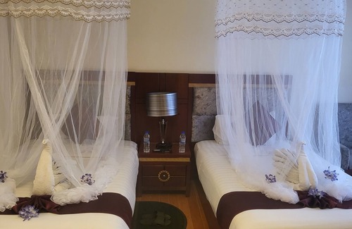 Bahir Dar Hotel | Palm Palace Hotel