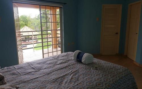 Couva-Tabaquite-Talparo House | Palm Springs Apartments