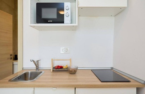 Dubrovnik Apartment | Palm Tree Apartments