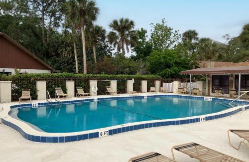 Port Orange House | Palm Tree Reverie