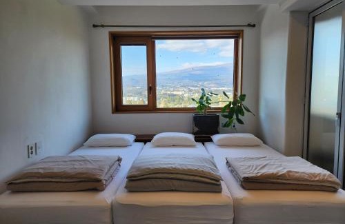 Seogwipo City Villa | Palm Tree Villa