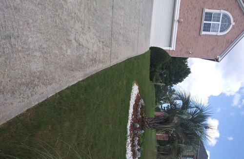 Lithonia House | Palm Trees & Water Falls California Living in the South