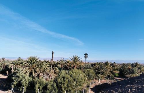 Tarmigt House | Palm View Palace