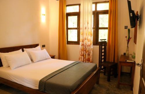 Dickwella Bed & Breakfast | Palm & Wild Hiriketiya