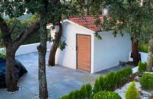 Amealco House | Palma House