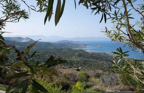 Mirsini House | PALMAR CLUB - Villa Aphrodite