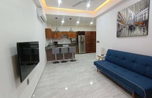 R Apartment | PALMAS DE CHAHUE 4 (474 SF)