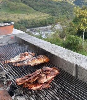 Ecuadorian Amazon Other | Palmas River View