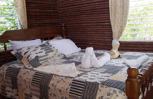 Hopkins Bed & Breakfast | Palmento Grove Garifuna Eco-Cultural & Healing Institute
