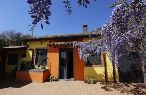 Piedimonte Etneo Villa | Palmento House Amazing View and Private Mini SPA