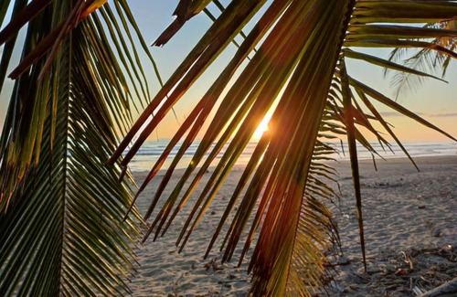 Javilla Bed & Breakfast | Palmetto Lodge
