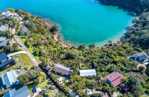Surfdale House | Palms on Kennedy Point - Stay Waiheke