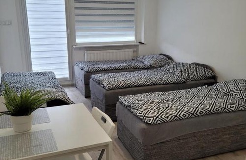Krotoszyn Apartment | Paloma9