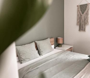 Regi Apartment | Palova Green