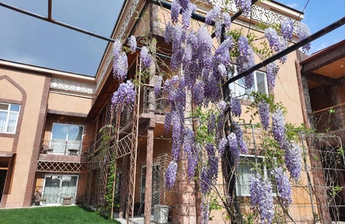 Tashkent House | Pan Asiat