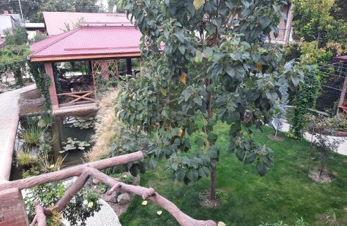 Tashkent House | Pan Asiat