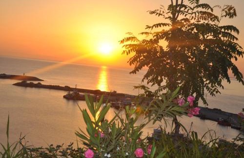 Canik Hotel | Panaroma Damla Otel